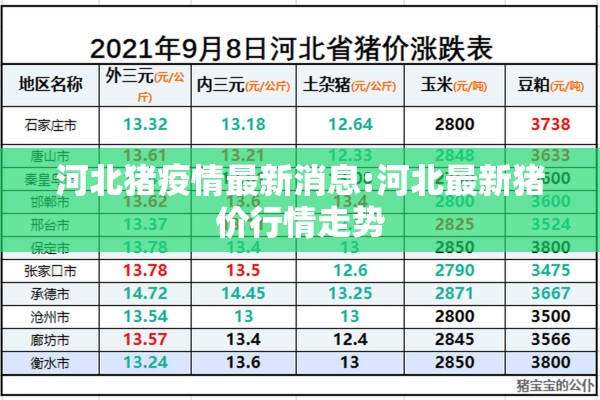 河北猪疫情最新消息:河北最新猪价行情走势