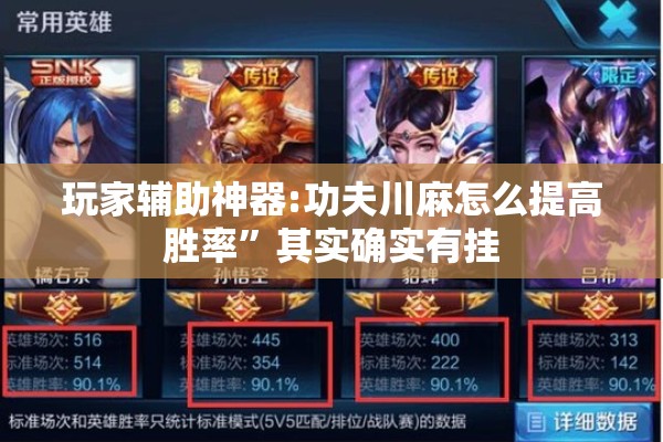 玩家辅助神器:功夫川麻怎么提高胜率	”其实确实有挂