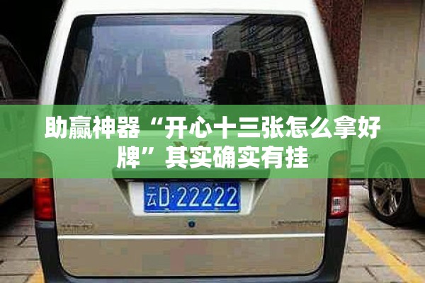 助赢神器“开心十三张怎么拿好牌	”其实确实有挂
