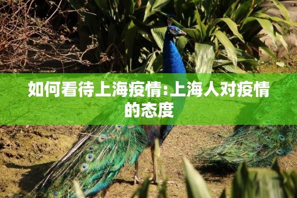 如何看待上海疫情:上海人对疫情的态度
