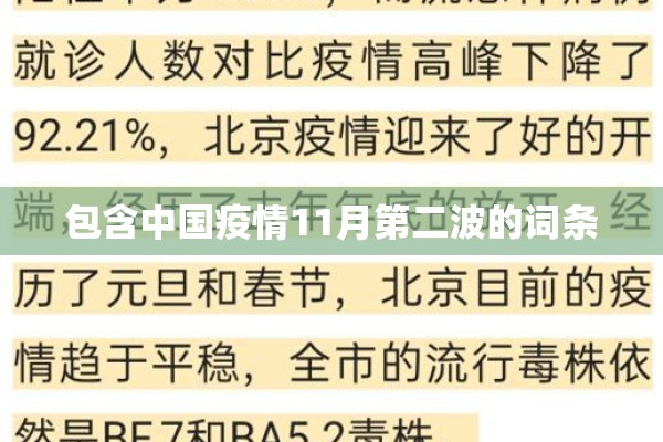 包含中国疫情11月第二波的词条 包含中国疫情11月第二波的词条