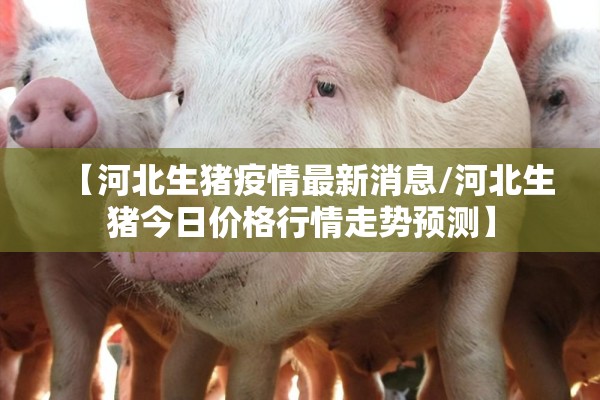 【河北生猪疫情最新消息/河北生猪今日价格行情走势预测】