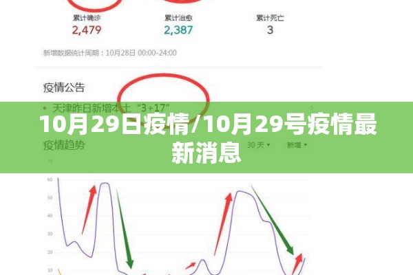 10月29日疫情/10月29号疫情最新消息