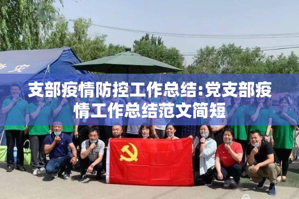 支部疫情防控工作总结:党支部疫情工作总结范文简短