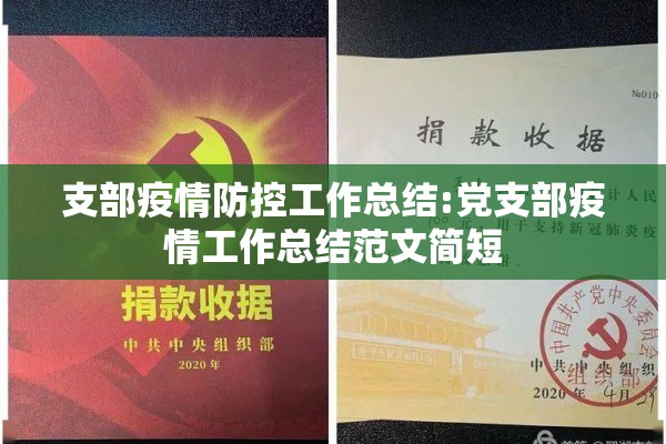 支部疫情防控工作总结:党支部疫情工作总结范文简短