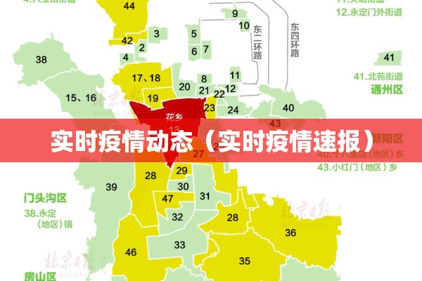 实时疫情动态(实时疫情速报) 实时疫情动态(实时疫情速报)