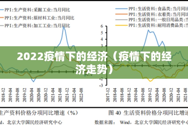2022疫情下的经济（疫情下的经济走势）