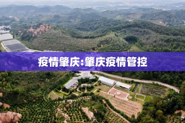 疫情肇庆:肇庆疫情管控