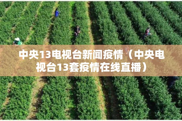 中央13电视台新闻疫情（中央电视台13套疫情在线直播）