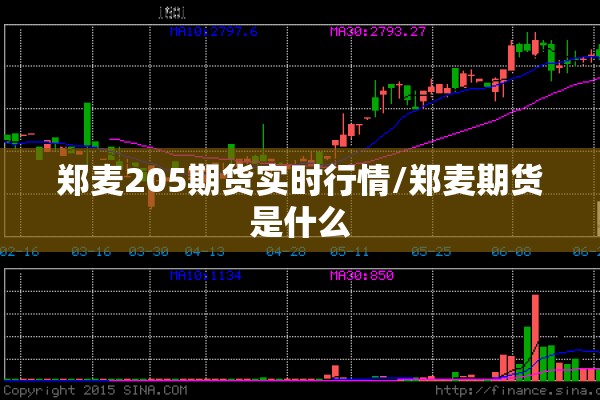 郑麦205期货实时行情/郑麦期货是什么