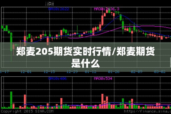 郑麦205期货实时行情/郑麦期货是什么