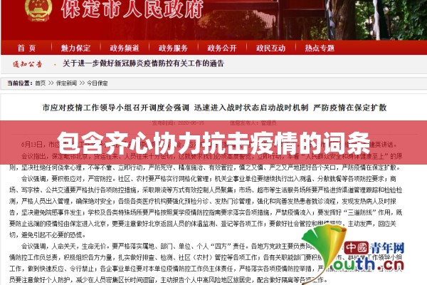 包含齐心协力抗击疫情的词条