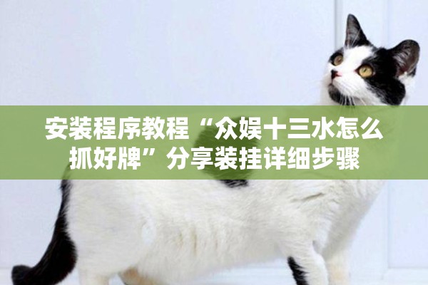 安装程序教程“众娱十三水怎么抓好牌”分享装挂详细步骤