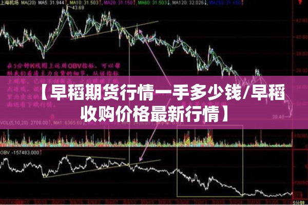 【早稻期货行情一手多少钱/早稻收购价格最新行情】 【早稻期货行情一手多少钱/早稻收购价格最新行情】