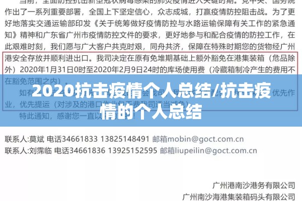 2020抗击疫情个人总结/抗击疫情的个人总结