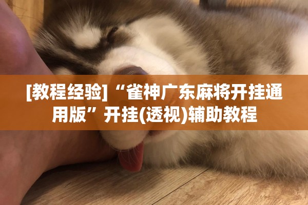 [教程经验]“雀神广东麻将开挂通用版”开挂(透视)辅助教程