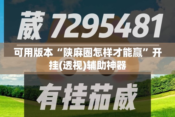 可用版本“陕麻圈怎样才能赢”开挂(透视)辅助神器