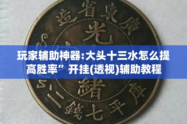 玩家辅助神器:大头十三水怎么提高胜率”开挂(透视)辅助教程