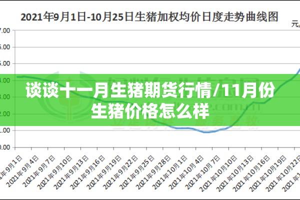 谈谈十一月生猪期货行情/11月份生猪价格怎么样