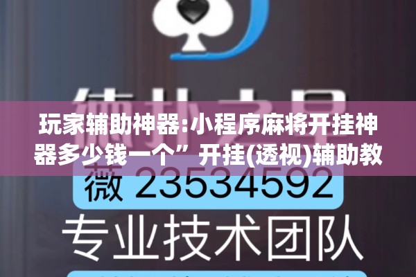 玩家辅助神器:小程序麻将开挂神器多少钱一个	”开挂(透视)辅助教程