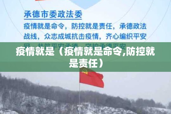 疫情就是（疫情就是命令,防控就是责任）