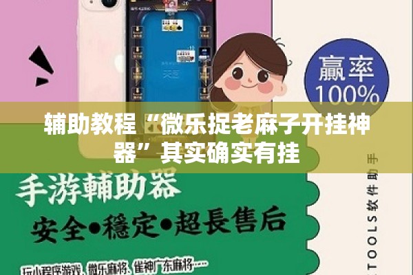 辅助教程“微乐捉老麻子开挂神器”其实确实有挂