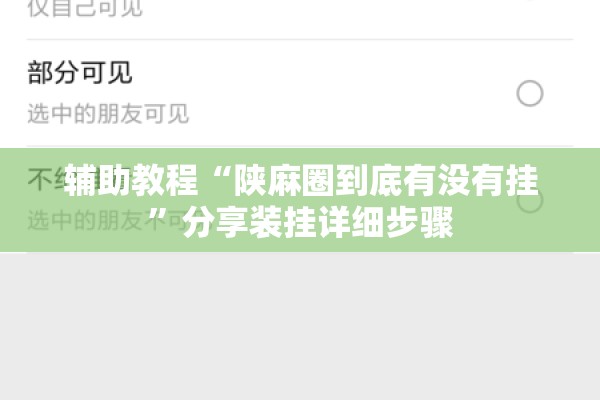 辅助教程“陕麻圈到底有没有挂	”分享装挂详细步骤