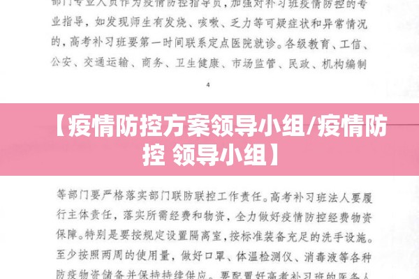 【疫情防控方案领导小组/疫情防控 领导小组】