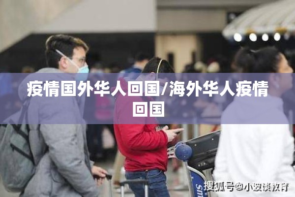 疫情国外华人回国/海外华人疫情回国