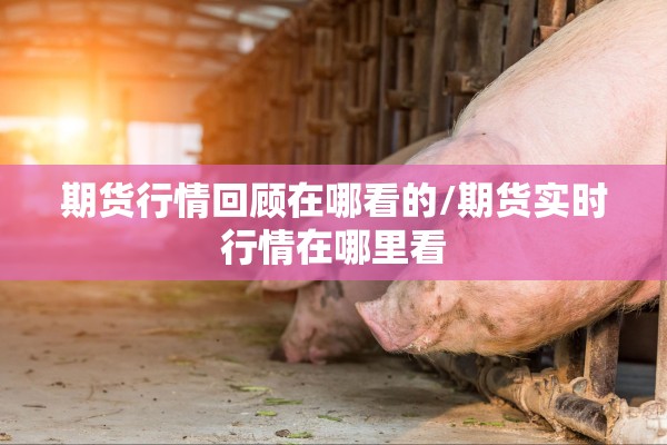 期货行情回顾在哪看的/期货实时行情在哪里看 期货行情回顾在哪看的/期货实时行情在哪里看
