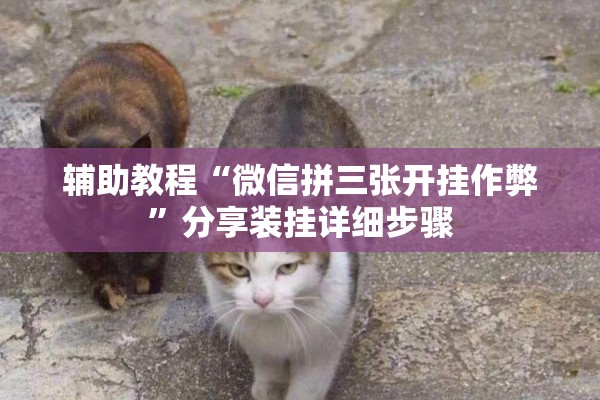 辅助教程“微信拼三张开挂作弊	”分享装挂详细步骤
