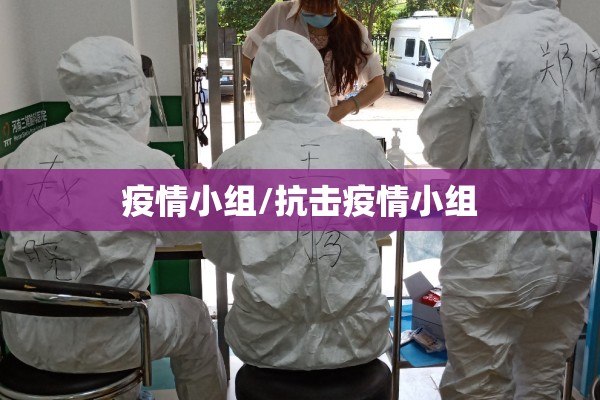 疫情小组/抗击疫情小组 疫情小组/抗击疫情小组