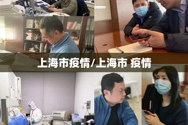 上海市疫情/上海市 疫情