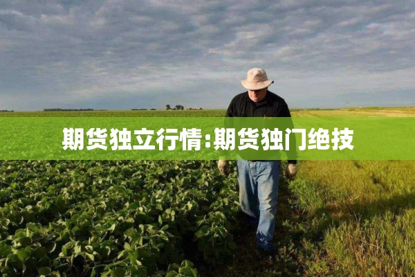 期货独立行情:期货独门绝技 期货独立行情:期货独门绝技