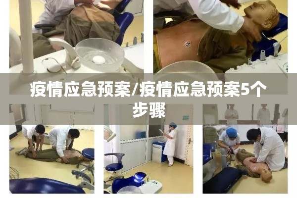 疫情应急预案/疫情应急预案5个步骤