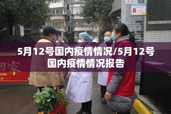 5月12号国内疫情情况/5月12号国内疫情情况报告