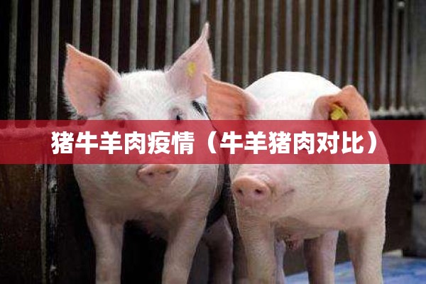 猪牛羊肉疫情（牛羊猪肉对比）