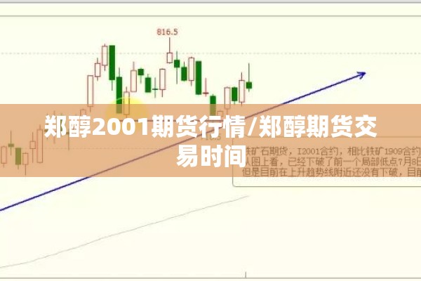 郑醇2001期货行情/郑醇期货交易时间 郑醇2001期货行情/郑醇期货交易时间