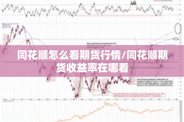 同花顺怎么看期货行情/同花顺期货收益率在哪看