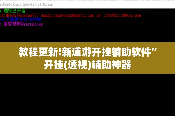 教程更新!新道游开挂辅助软件”开挂(透视)辅助神器