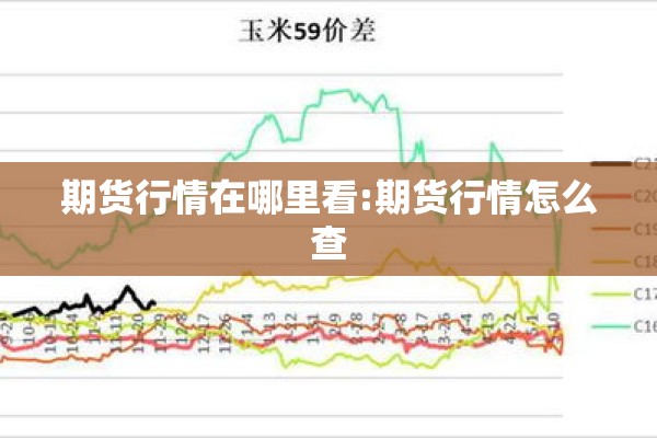 期货行情在哪里看:期货行情怎么查