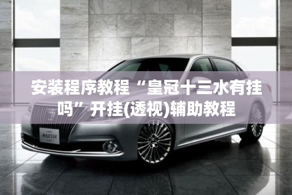 安装程序教程“皇冠十三水有挂吗	”开挂(透视)辅助教程