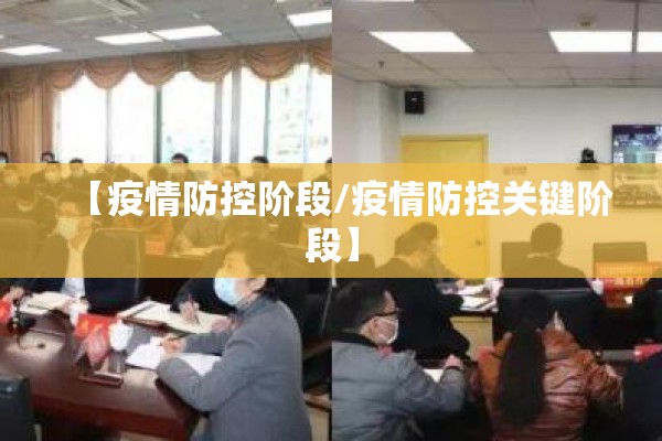 【疫情防控阶段/疫情防控关键阶段】