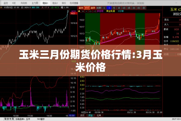 玉米三月份期货价格行情:3月玉米价格