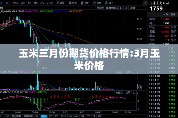 玉米三月份期货价格行情:3月玉米价格