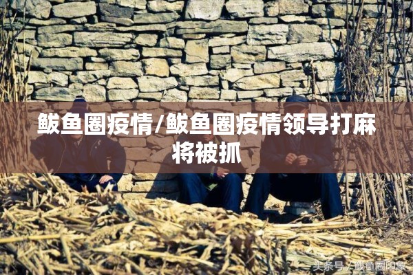 鲅鱼圈疫情/鲅鱼圈疫情领导打麻将被抓