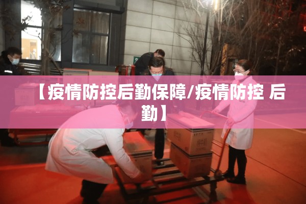 【疫情防控后勤保障/疫情防控 后勤】