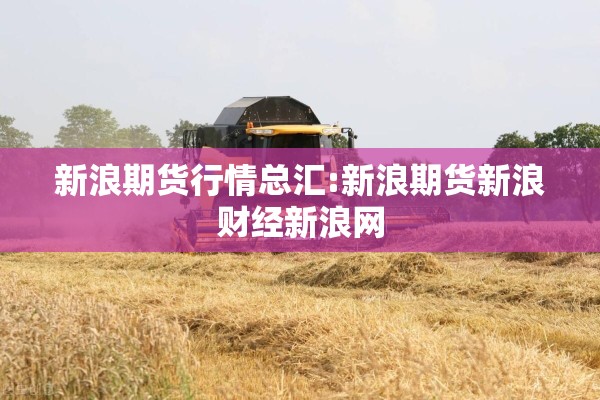 新浪期货行情总汇:新浪期货新浪财经新浪网 新浪期货行情总汇:新浪期货新浪财经新浪网
