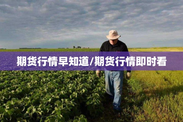 期货行情早知道/期货行情即时看