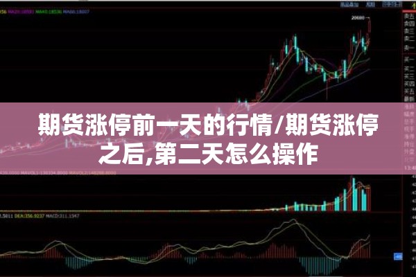 期货涨停前一天的行情/期货涨停之后,第二天怎么操作